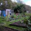 Allotments